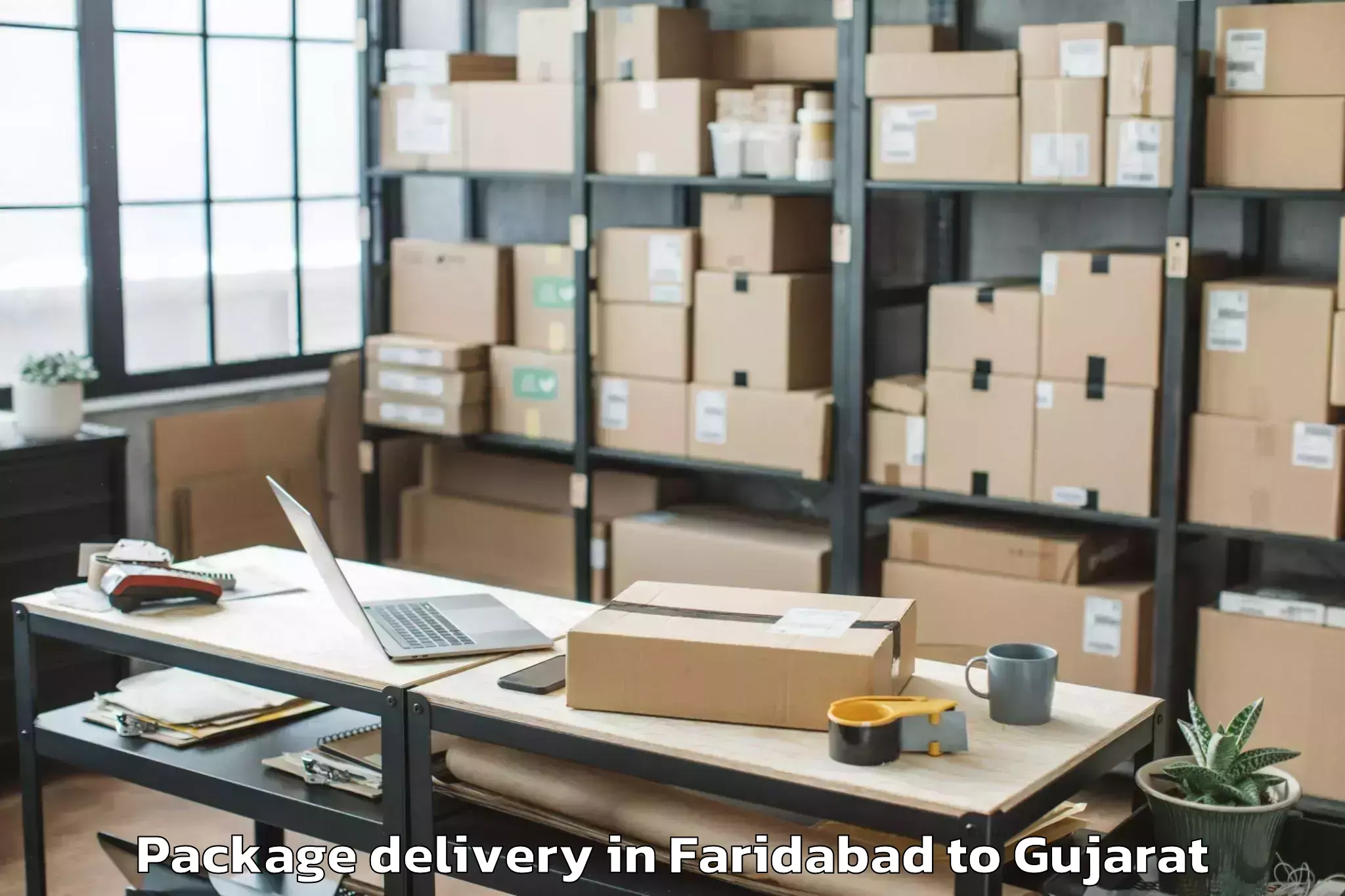 Book Faridabad to Veer Narmad South Gujarat Univ Package Delivery